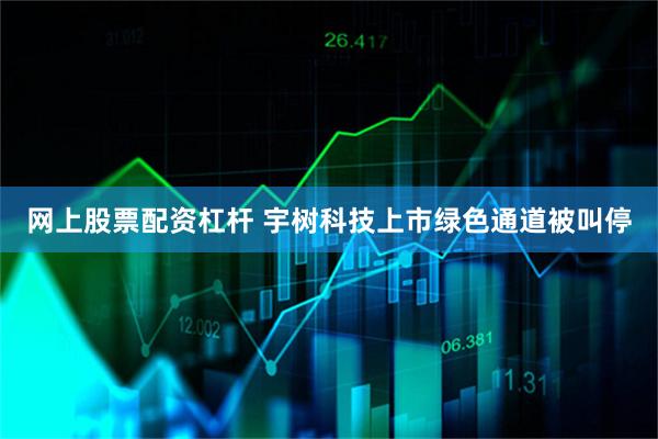 网上股票配资杠杆 宇树科技上市绿色通道被叫停