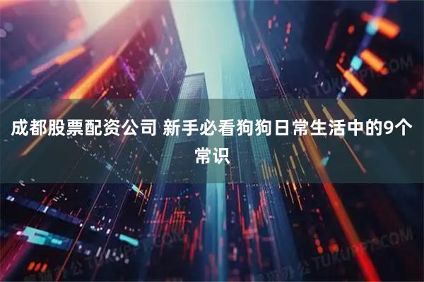 成都股票配资公司 新手必看狗狗日常生活中的9个常识